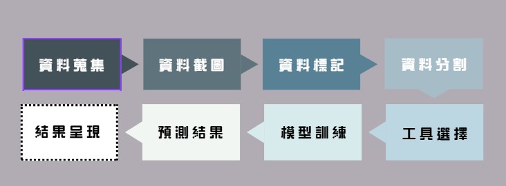 研究流程圖
